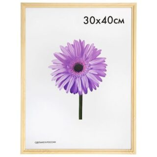 фоторамка CRISTINA 300х400мм некрашеная дерево